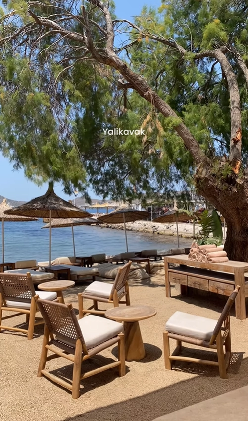 A chic and relaxing beach club setting in Yalıkavak, Turkey, with stylish wooden chairs on the sand under the shade of a tree.