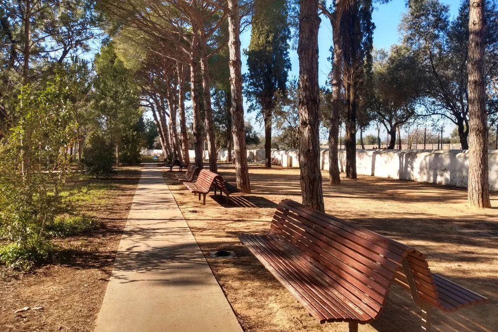 A tranquil, tree-lined path with wooden benches in the Parque Municipal de Loulé, offering a peaceful green space in Loulé, Portugal.