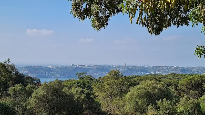 Parque Florestal de Monsanto