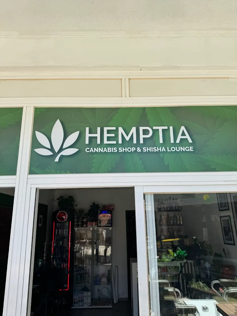 HEMPCARVOEIRO - Cannabis Shop - Shisha Lounge