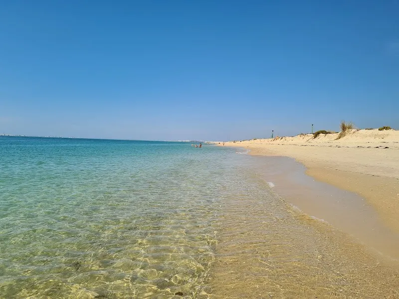 Praia da Armona (Mar)