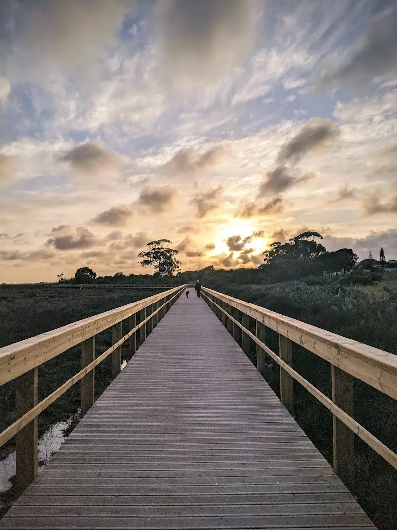 Ria Formosa ecovia extension