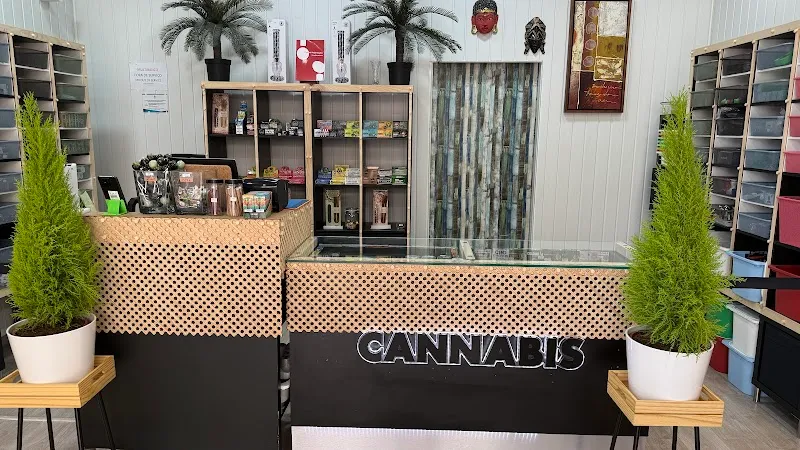 Cannabis Praia da Rocha - Store Stigma Free