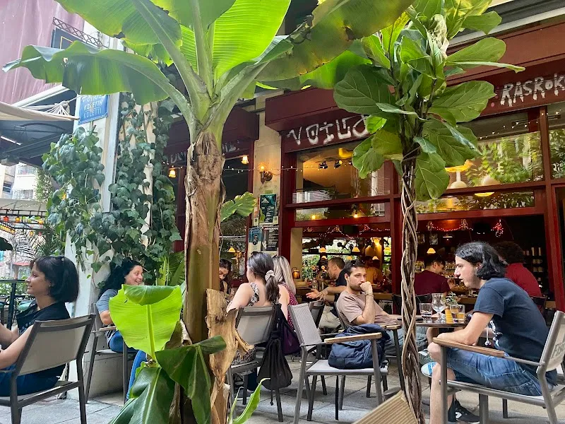 Μαύρος Γάτος