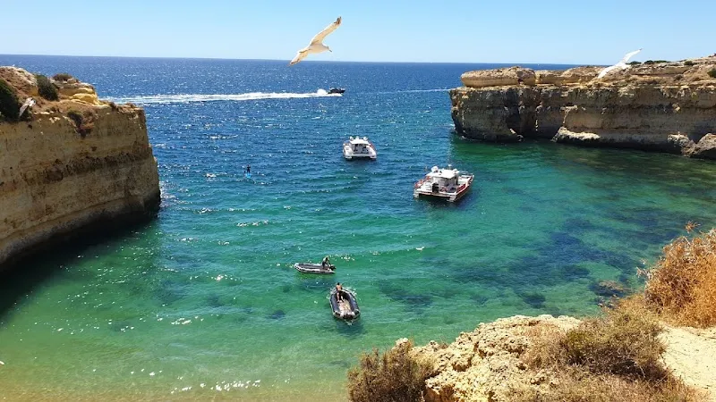 CRUZEIROS DA OURA Boat Tours - From VILAMOURA Marina - Benagil & Galé & Ria Formosa