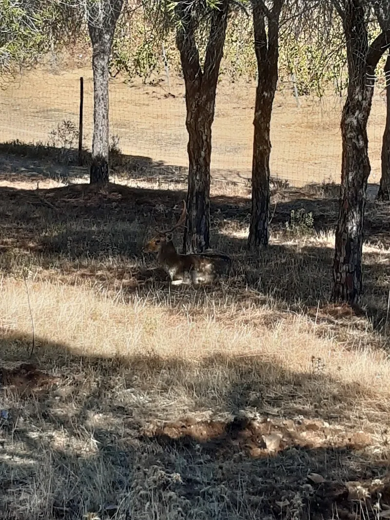 Parque de Lazer do Arroio