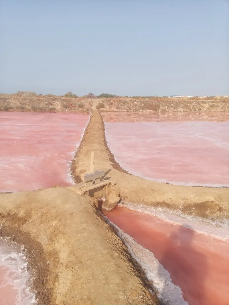 Salinas do Forte do Rato