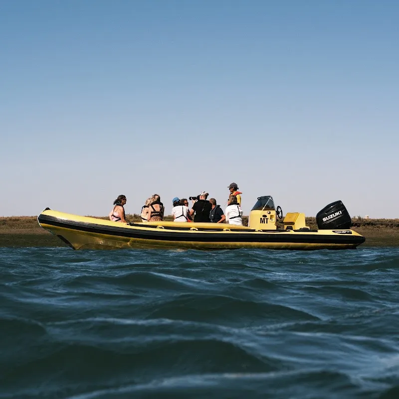 Ria Formosa Boat Tours - Animaris Desert Island